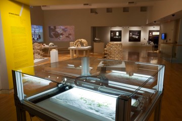 Installation view of Intimate Science exhibition at Miller Gallery at Carnegie Mellon University