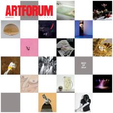 Selected in “The Artists’ Artists” section of Artforum's Best of 2014 issue, for “the single image, exhibition, or event that most memorably captured their eye in 2014.”